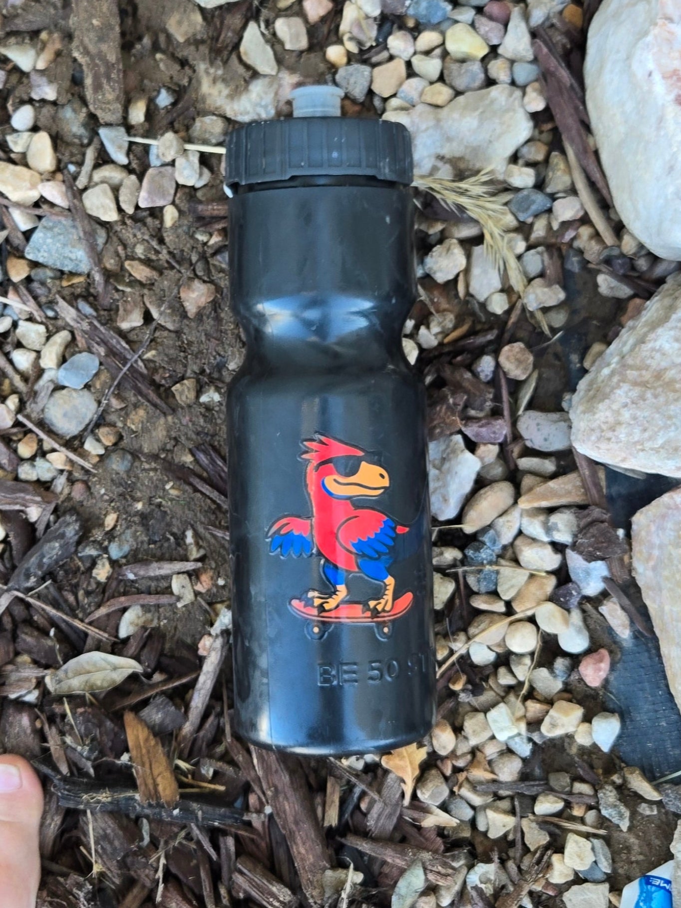 Skateboarding Utah Raptor